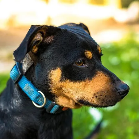 Tre Rondini בית חווה