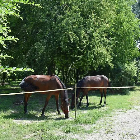 Tre Rondini Farm stay Legnago